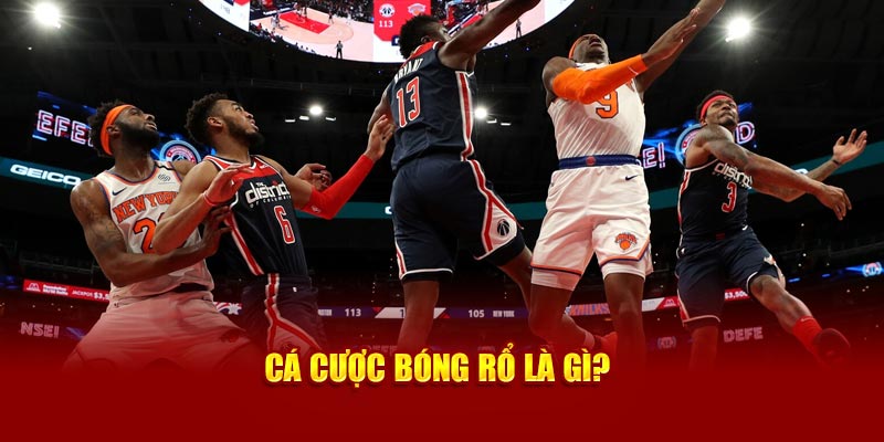 Cá cược bóng rổ là gì?