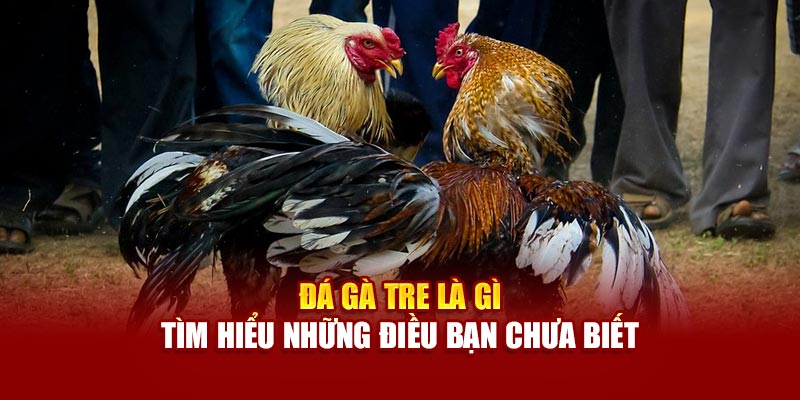da-ga-tre-la-gi-tim-hieu-nhung-dieu-ban-chua-biet