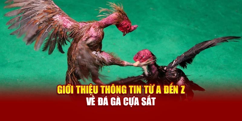 gioi-thieu-thong-tin-tu-a-den-z-ve-da-ga-cua-sat