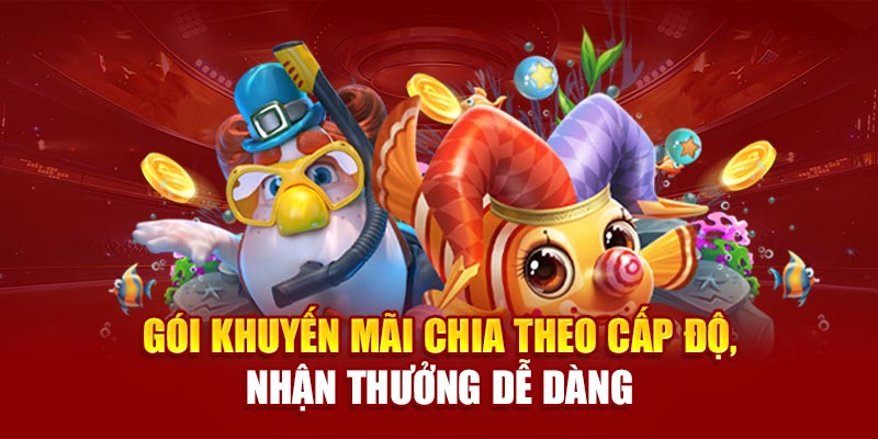 Gói khuyến mãi chia theo cấp độ, nhận thưởng dễ dàng