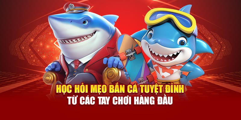 hoc-hoi-meo-ban-ca-tuyet-dinh-tu-cac-tay-choi-hang-dau