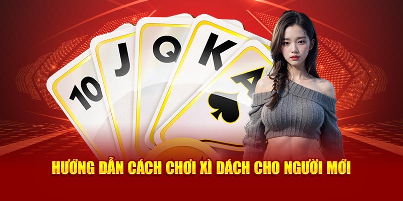Hướng dẫn cách đánh xì dách cho người mới