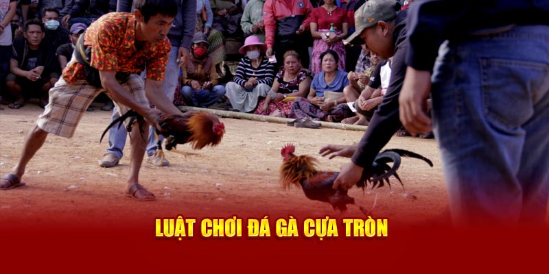 Luật chơi đá gà cựa tròn cơ bản