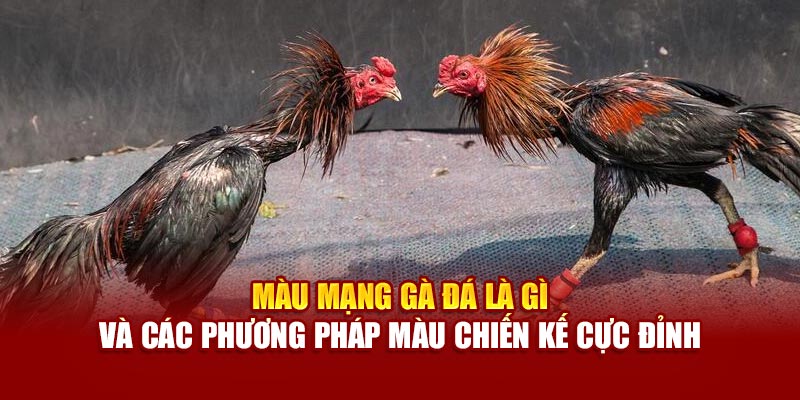 mau-mang-ga-da-la-gi-va-cac-phuong-phap-mau-chien-ke-cuc-dinh