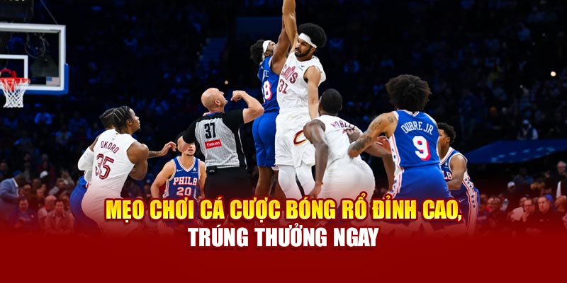 Cách chơi cá cược bóng rổ hiệu quả, trúng thưởng ngay