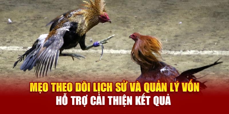 Mẹo theo dõi lịch sử và quản lý vốn hỗ trợ cải thiện kết quả