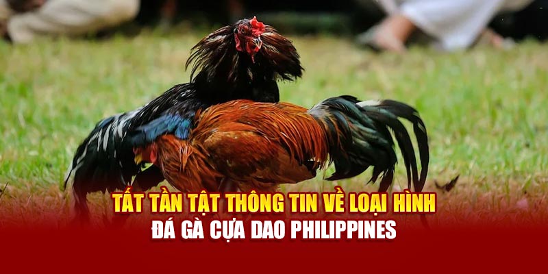 tat-tan-tat-thong-tin-ve-loai-hinh-da-ga-cua-dao-philippines