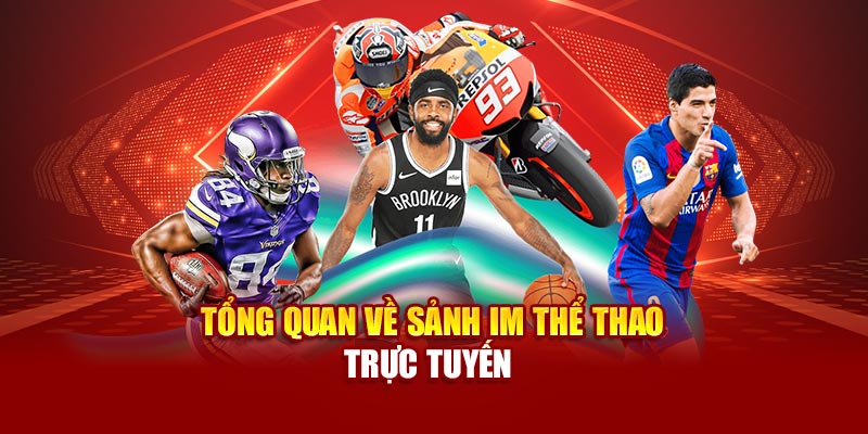 tong-quan-ve-sanh-im-the-thao-truc-tuyen-