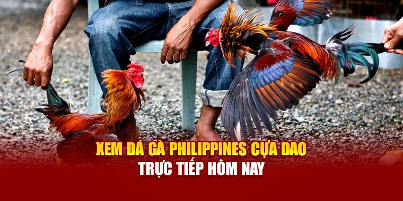 Xem đá gà cựa dao Philippines trực tiếp hôm nay